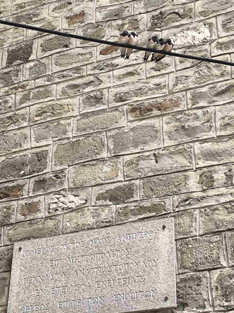 Click to enlarge